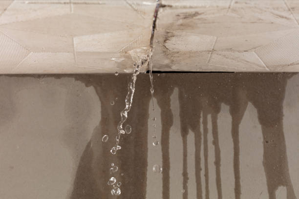 Professional Structural Drying technician working in Sandyville, OH